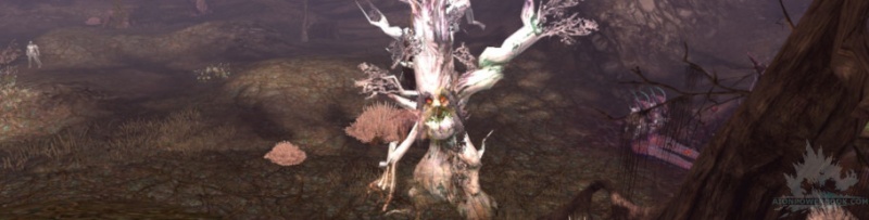 File:Dark poeta drop05.jpg